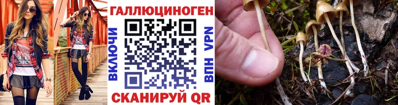 Псилоцибиновые грибы ЛСД  Купить где  Байкальск 